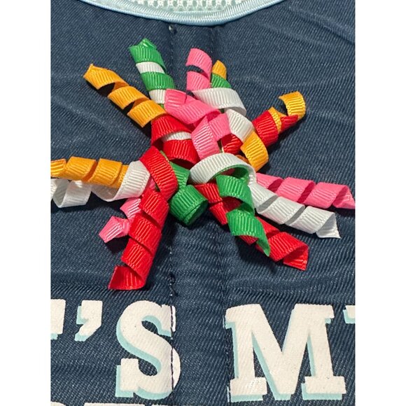 Party Birthday Dog Harness, Medium. New! - Picture 10 of 10